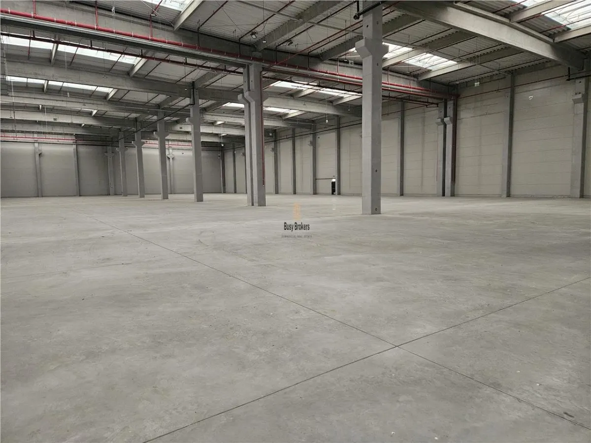 Spatiu Industrial - 9500 mp - Logistica - Depozitare - Distributie - foto 2