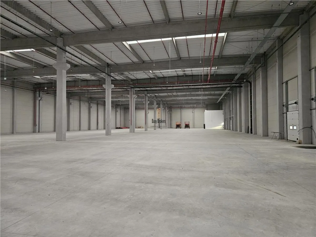 Spatiu Industrial - 9500 mp - Logistica - Depozitare - Distributie - foto 8