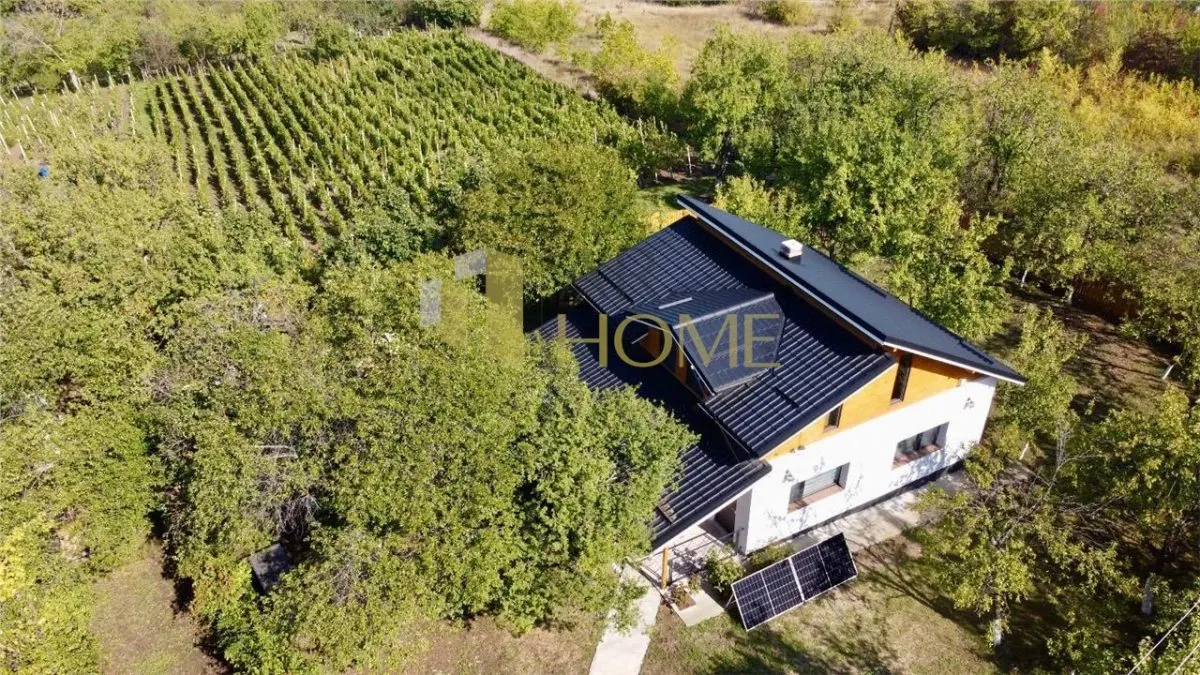 Vanzare casa vacanta, 9500 mp teren intravilan, in Valea Calugareasca, zona Casa Timis - foto 13