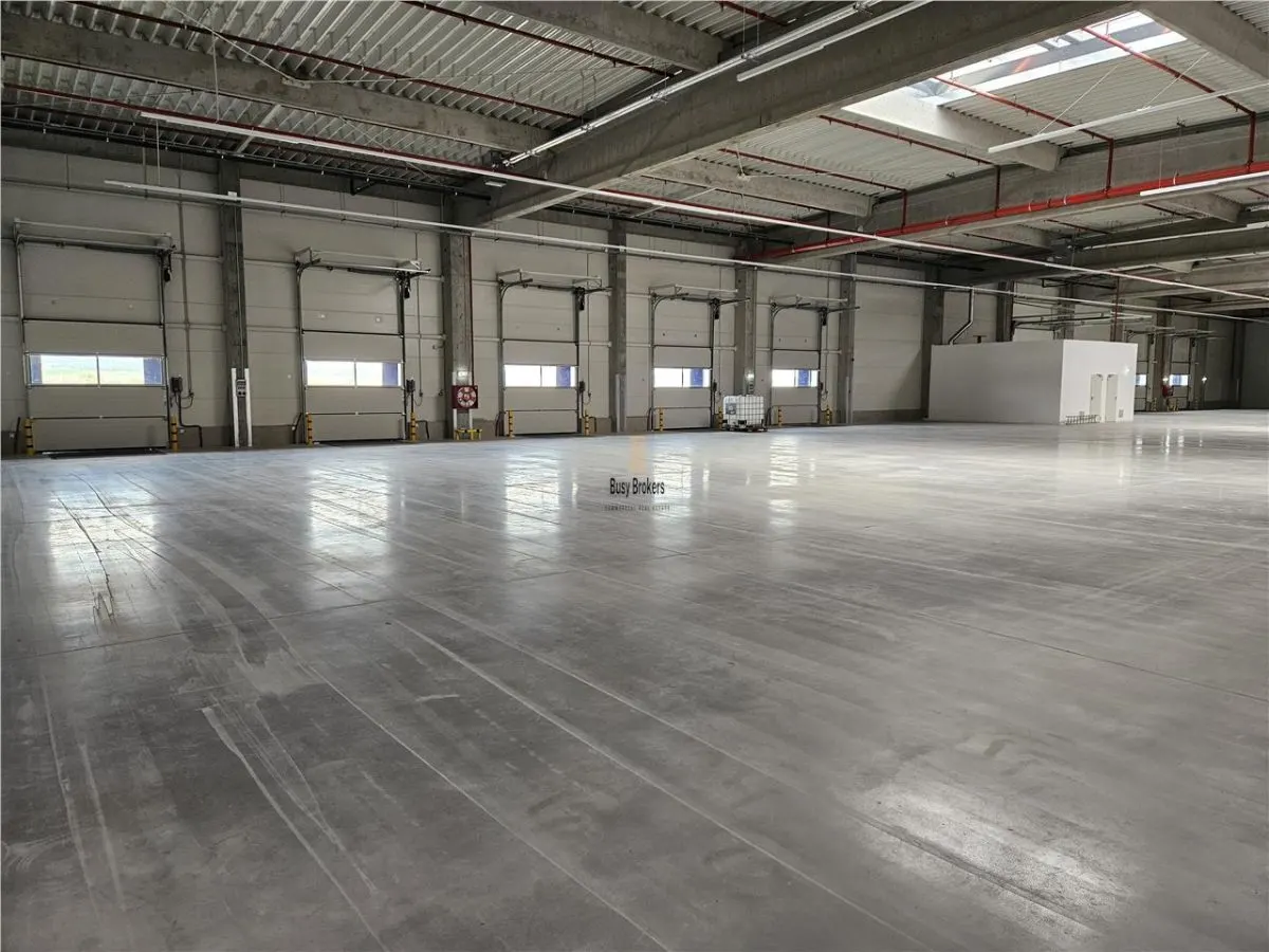 Spatiu Industrial - 6800 mp - Logistica - Productie - Depozitare - Distributie - foto 10