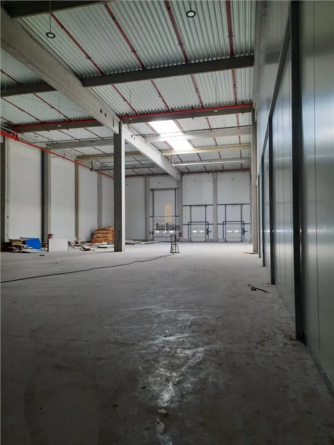 Spatiu Industrial - 7500 mp - Logistica - Productie - Depozitare - Distributie - foto 12