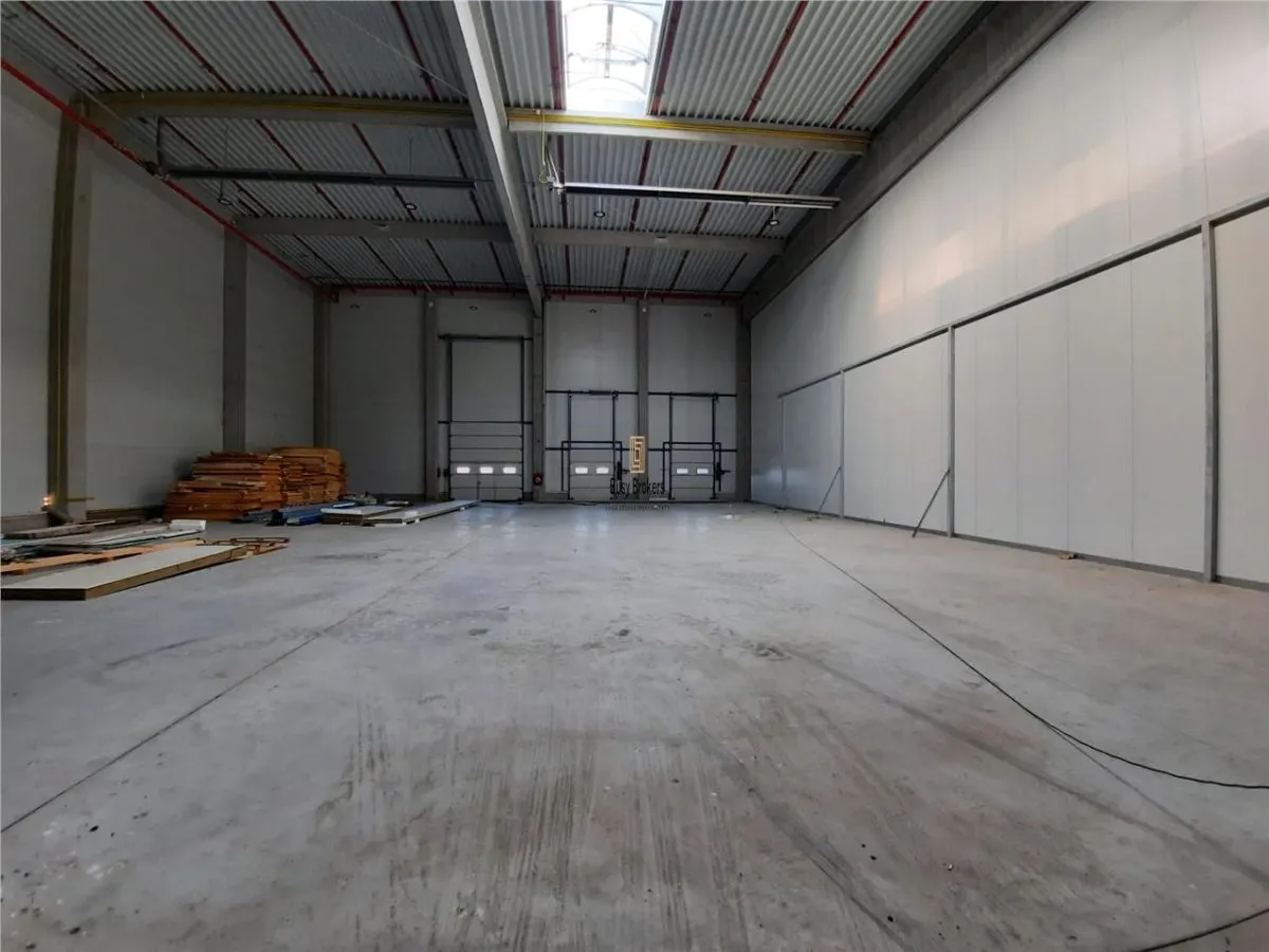 Spatiu Industrial - 7500 mp - Logistica - Productie - Depozitare - Distributie - foto 20