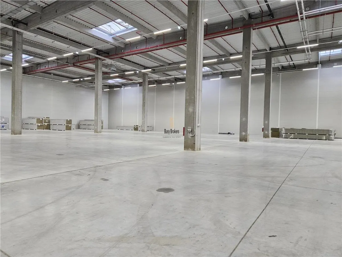 Spatiu Industrial - 7500 mp - Logistica - Productie - Depozitare - Distributie - foto 3