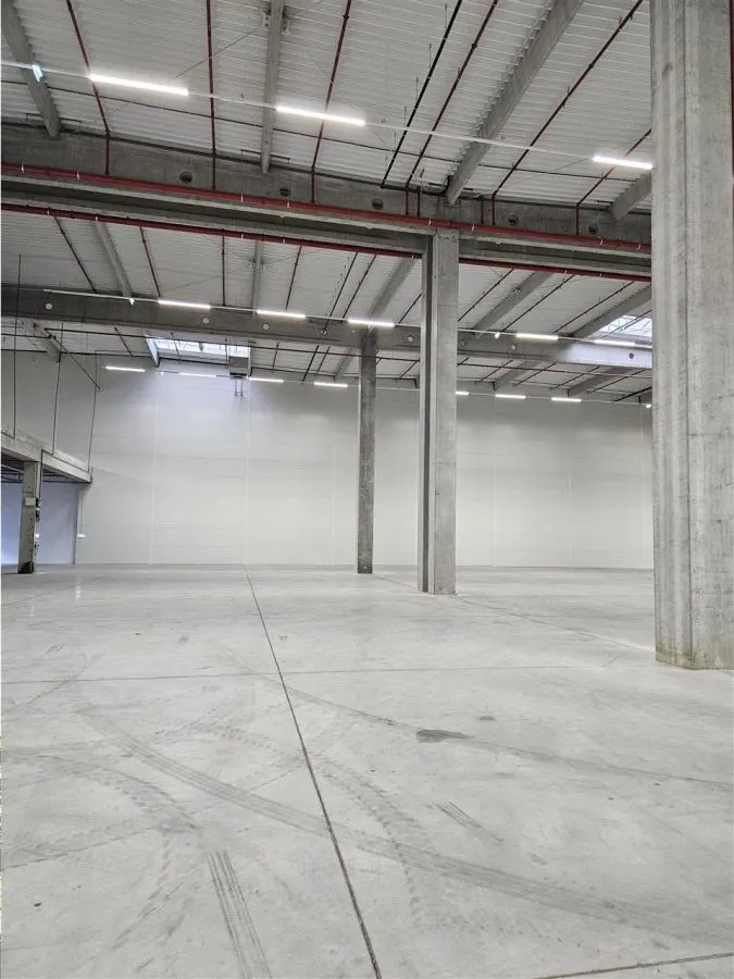 Spatiu Industrial - 5500 mp - Logistica - Productie - Depozitare - Distributie - foto 1