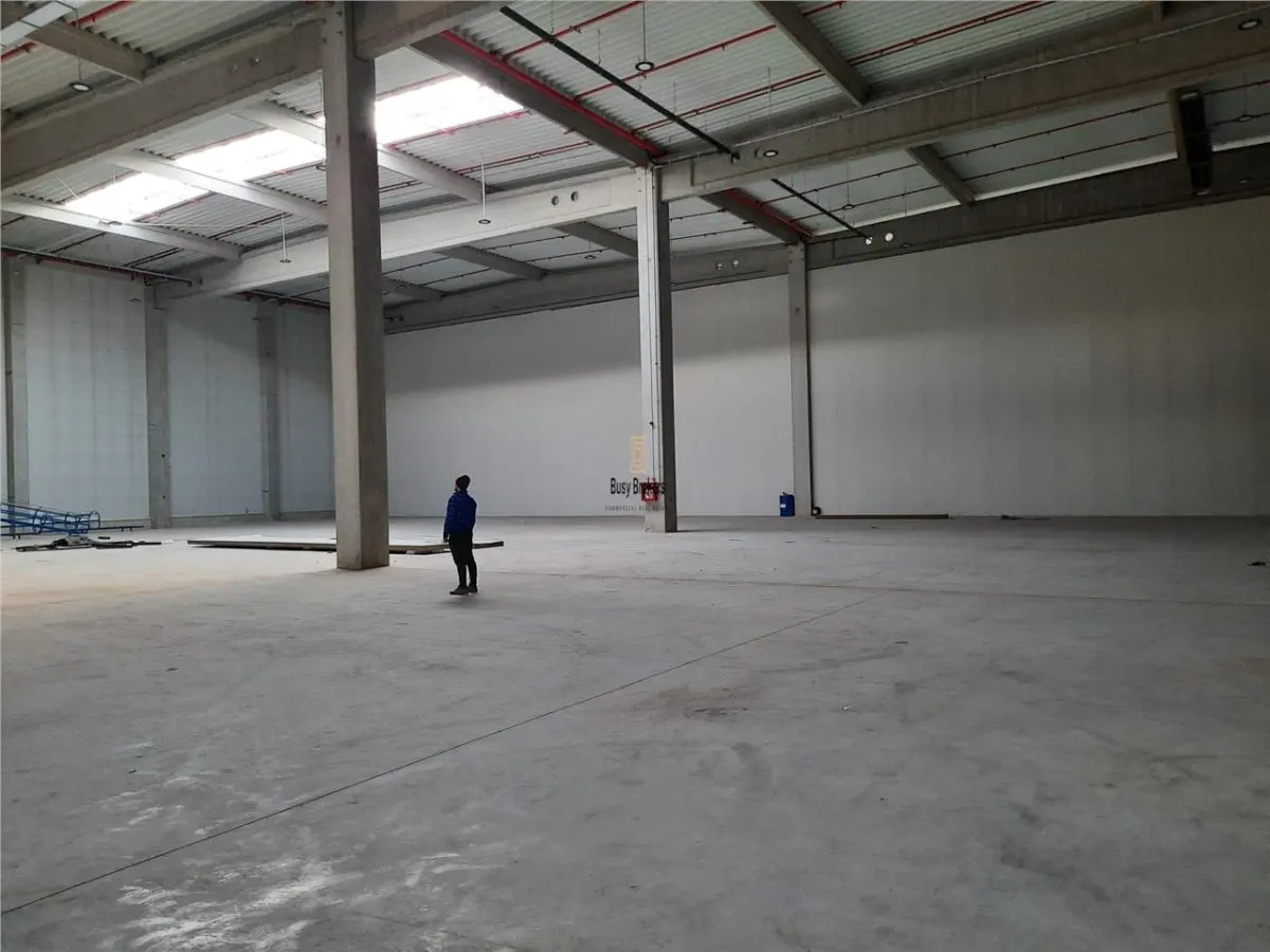 Spatiu Industrial - 5500 mp - Logistica - Productie - Depozitare - Distributie - foto 16