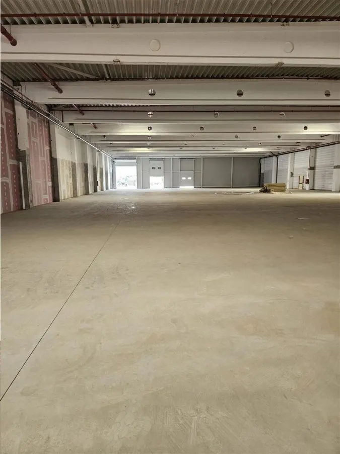 Spatiu Industrial - 7000 mp - Logistica - Productie - Depozitare - Distributie - foto 4