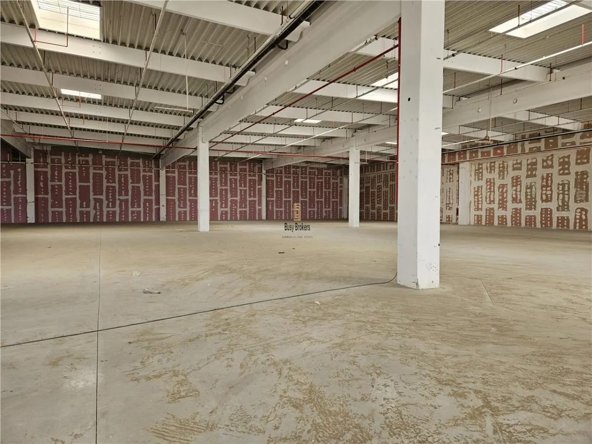 Spatiu Industrial - 7000 mp - Logistica - Productie - Depozitare - Distributie - foto 6