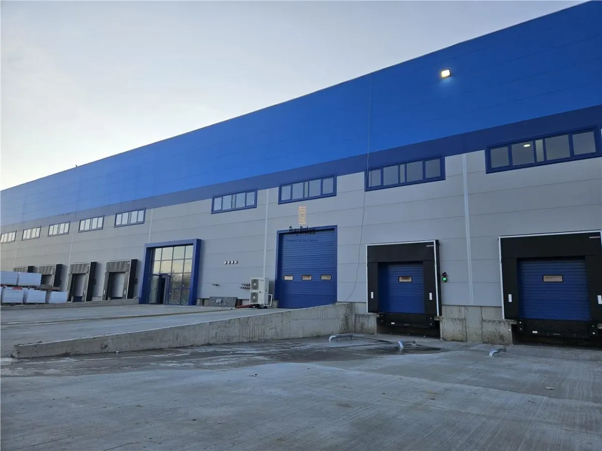 Spatiu Industrial - 10000 mp - Logistica - Productie - Depozitare - foto 1