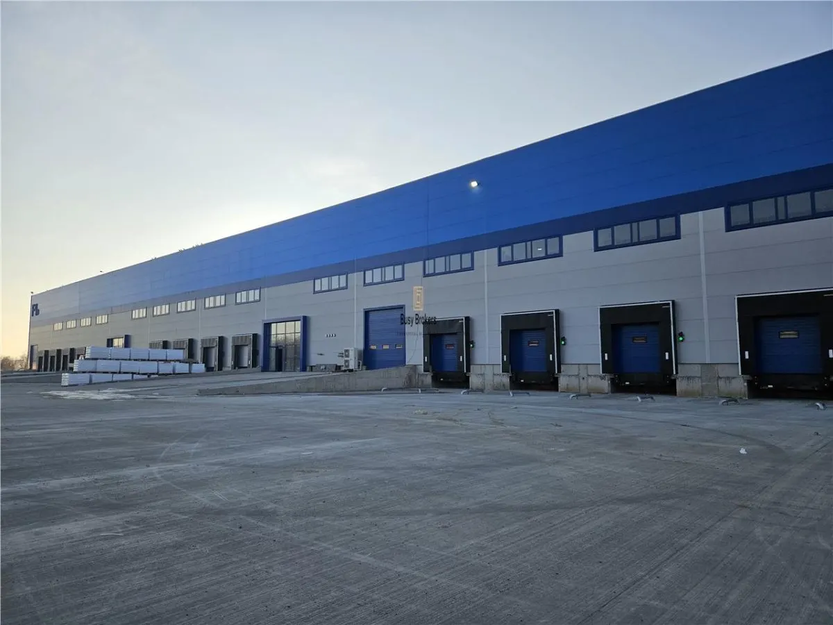 Spatiu Industrial - 10000 mp - Logistica - Productie - Depozitare - foto 5