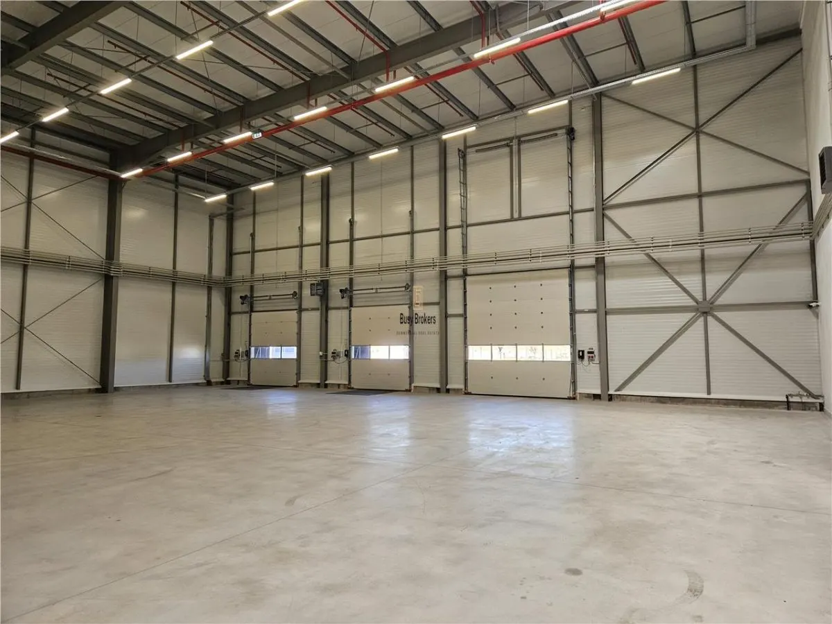 Spatiu Industrial - 5000 mp - Logistica - Productie - Depozitare - Distributie - foto 3