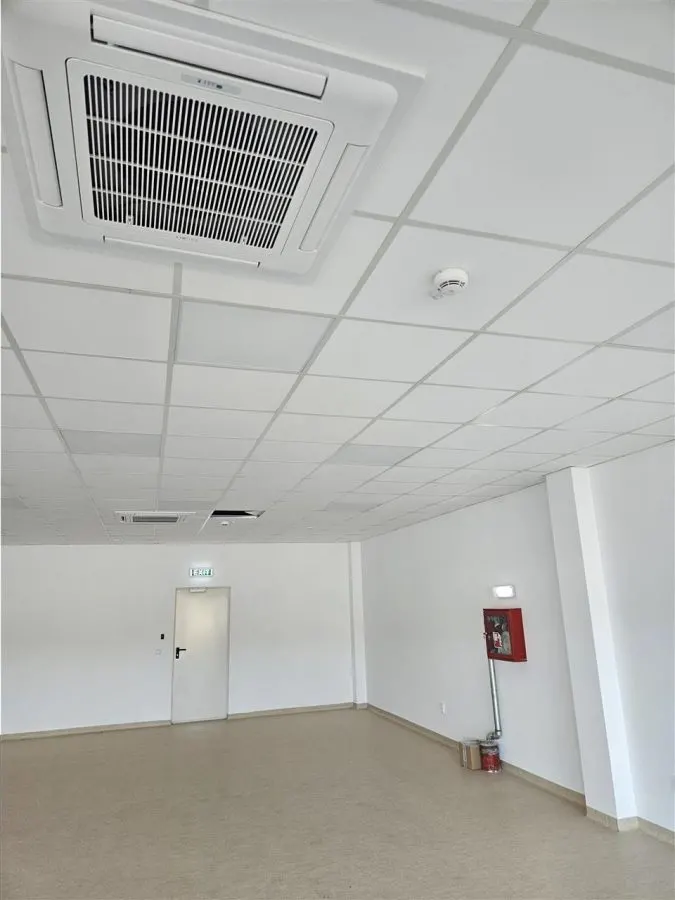 Spatiu Industrial - 5000 mp - Logistica - Productie - Depozitare - Distributie - foto 8
