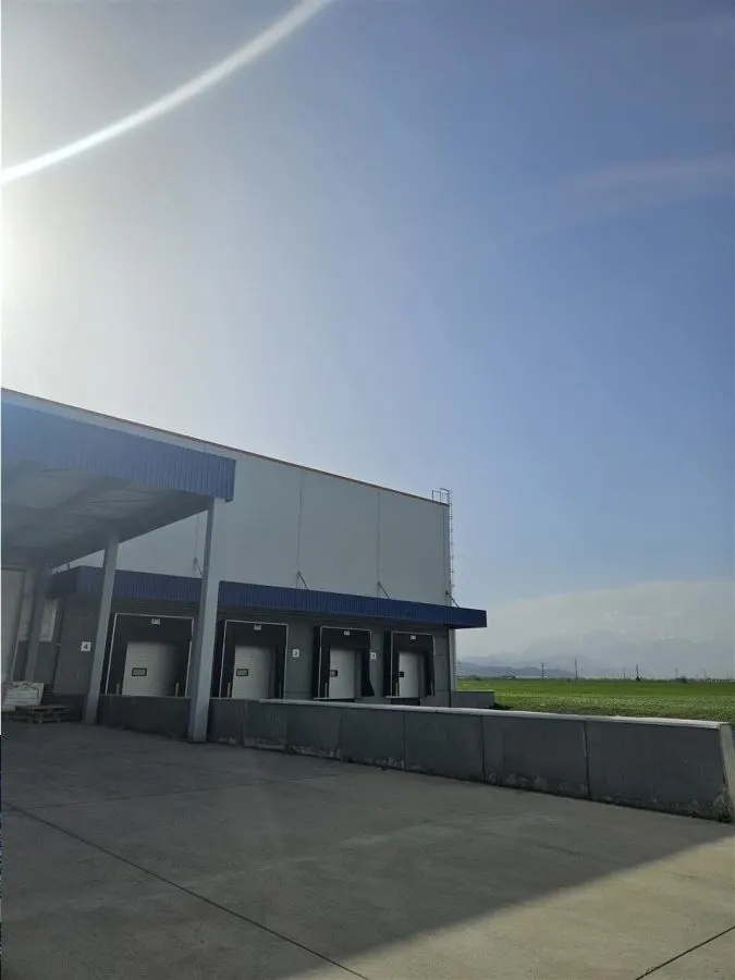 Spatii Industriale - 15000 mp - Logistica - Depozitare - Productie - foto 2