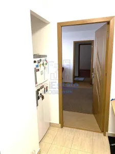 Apartament 2 camere  zona Tatarasi - Flora - foto 5