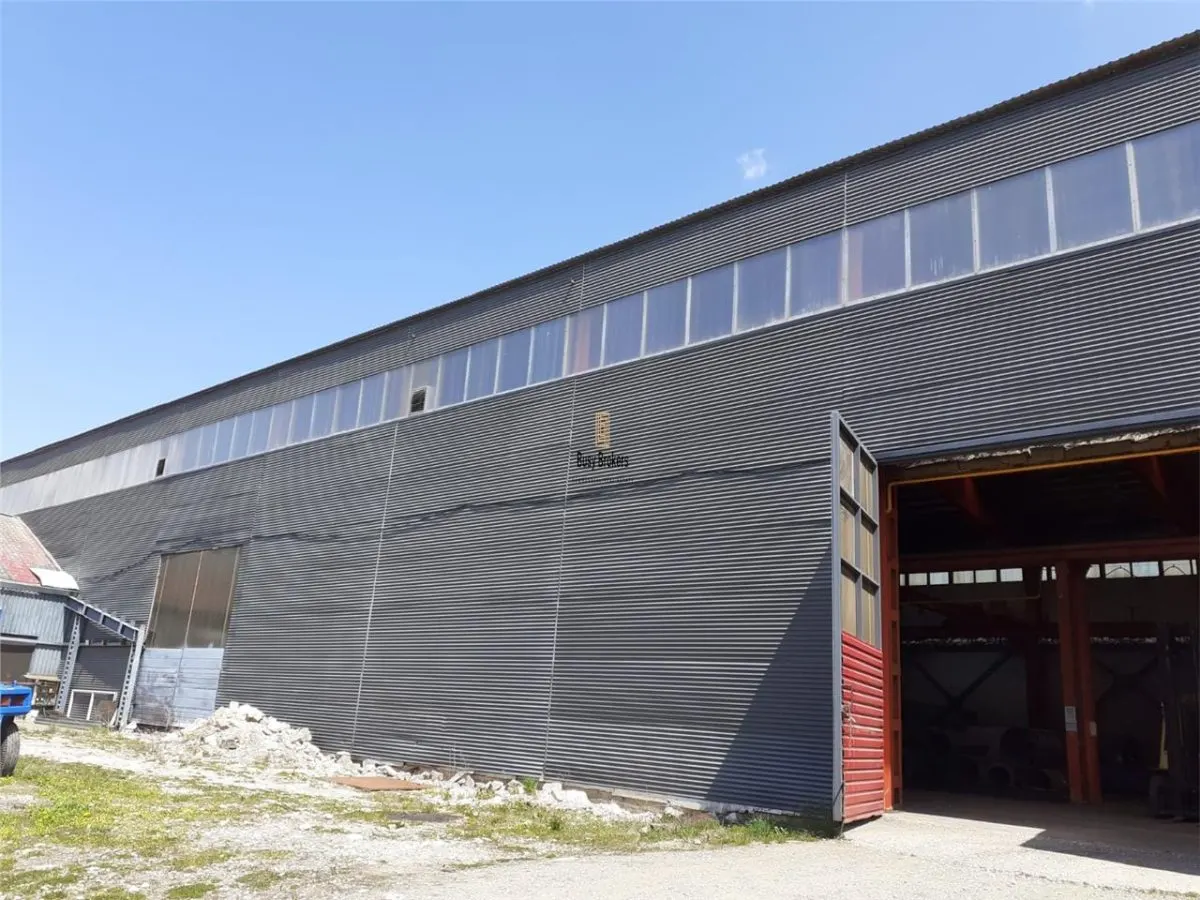 Spatiu Industrial - 3600 mp - Productie - Depozitare - Distributie - foto 11