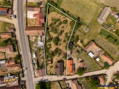 FILM! Casa personalizabila +2.700mp teren,pomi fructiferi,langa Sfantu Gheorghe: Santionlunca - foto 4