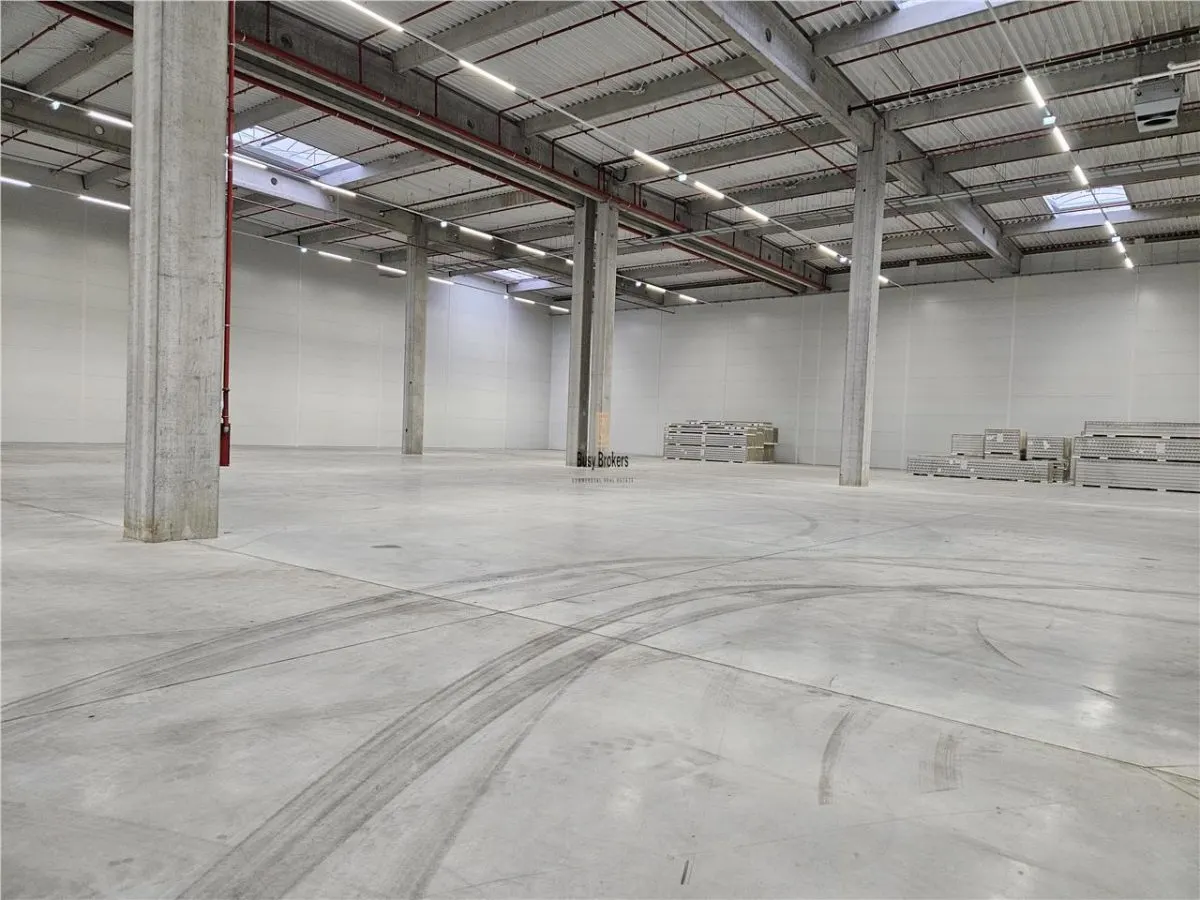 Spatiu Industrial - 6000 mp - Logistica - Productie - Depozitare - Distributie - foto 7