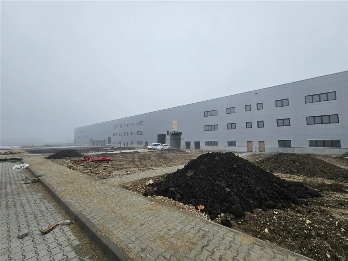 Spatiu Industrial - 5300 mp - Productie - Depozitare - Logistica - Distributie - foto 6