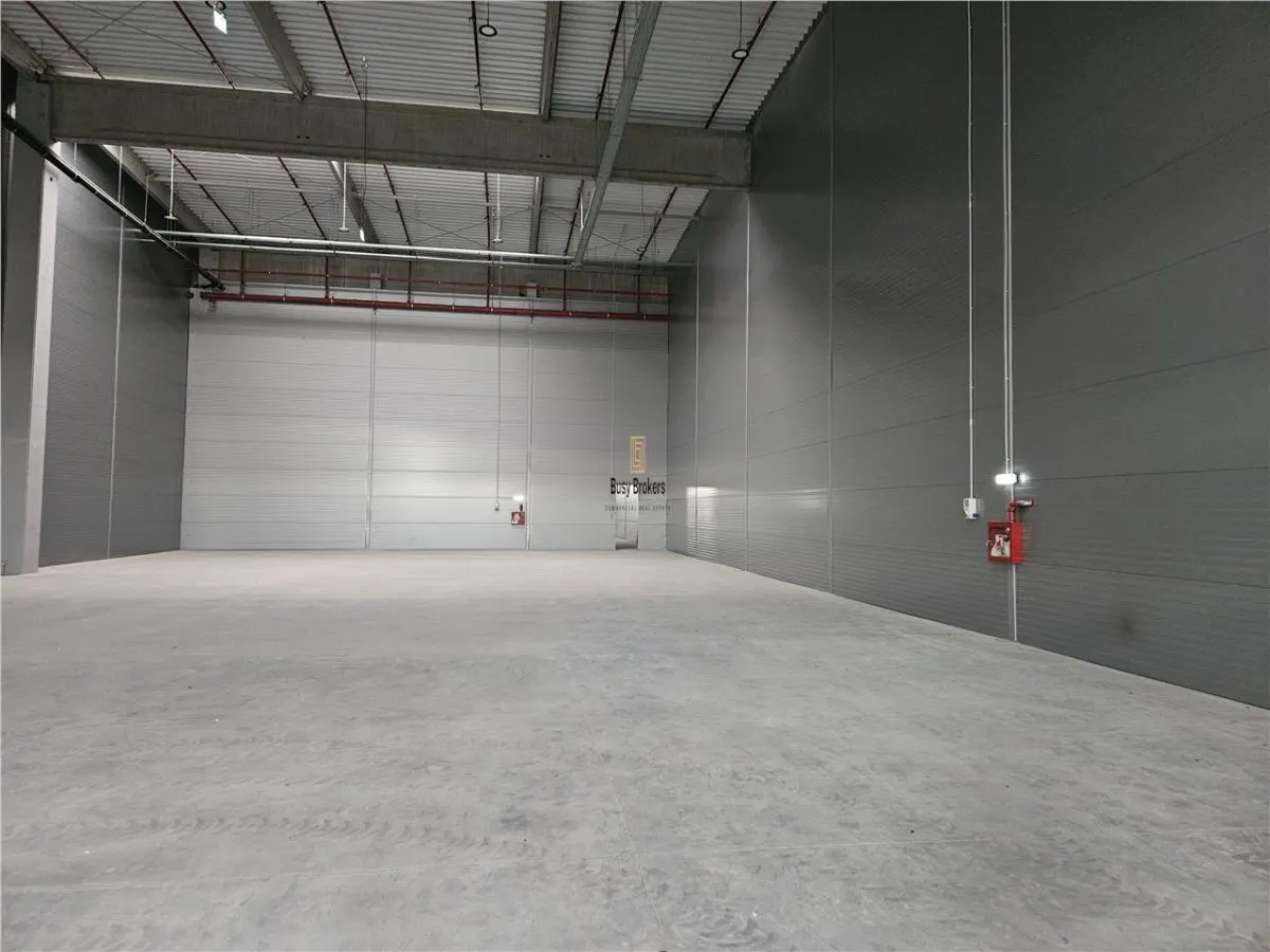 Spatii Industriale - 7000 mp - Logistica - Productie - Depozitare - foto 8
