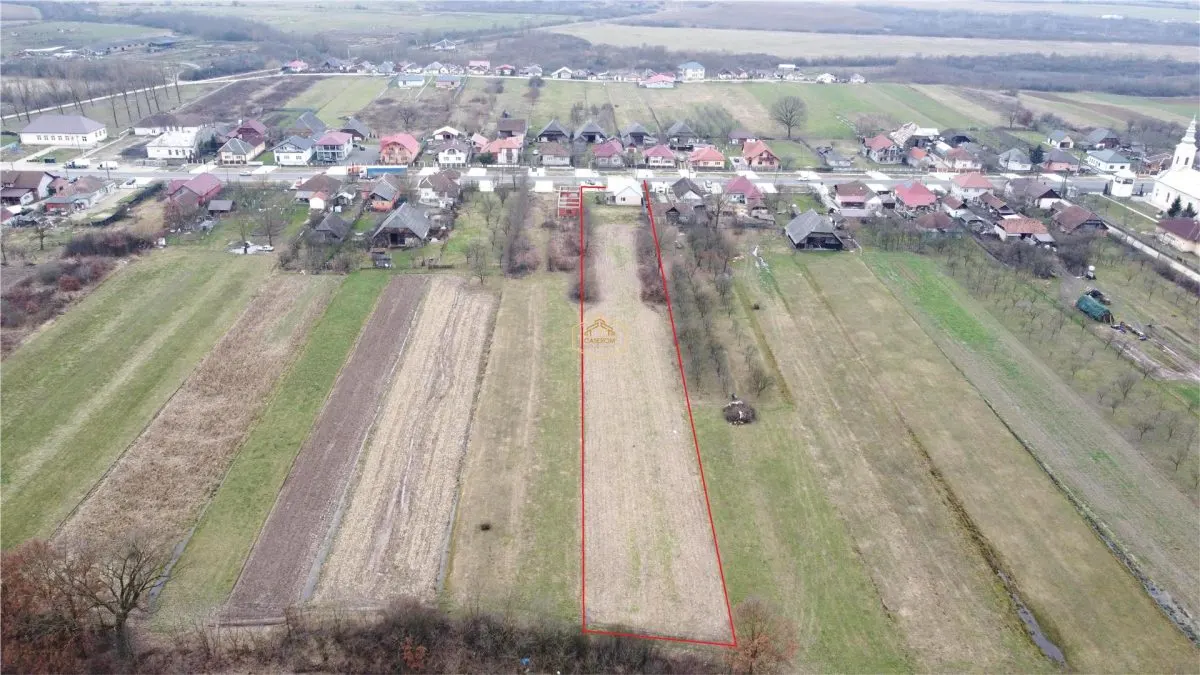 Casa cu 3 camere, renovata integral | Teren 5.000 mp | Borlesti - foto 6