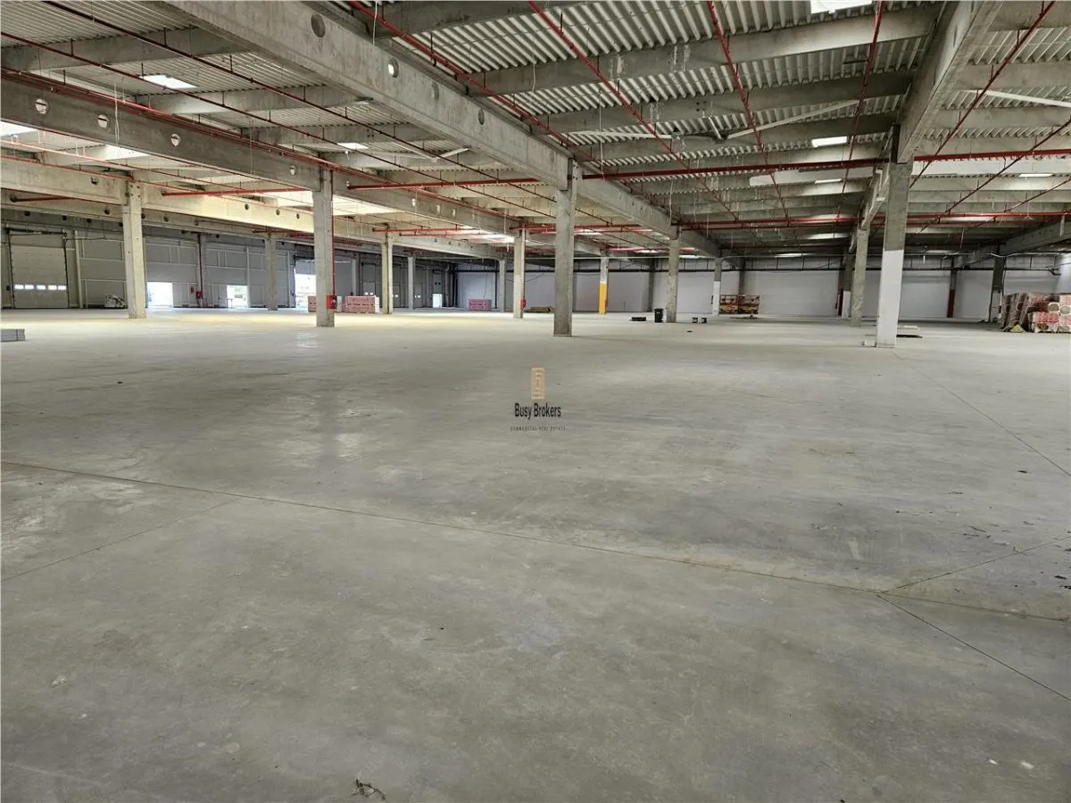 Spatiu Industrial - 4000 mp - Productie - Depozitare - Distributie - foto 1