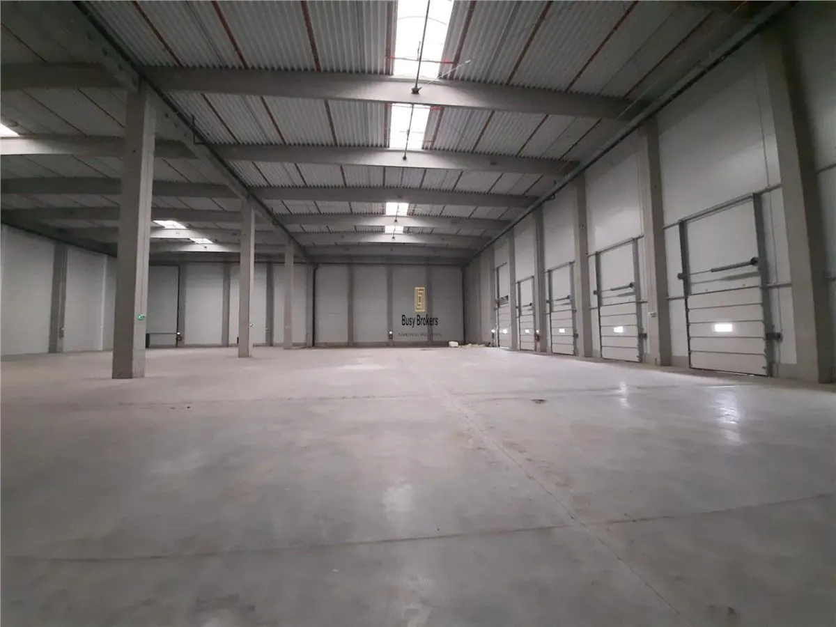 Spatiu Industrial - 3000 mp - Logistica - Productie - Depozitare - Distributie - foto 7