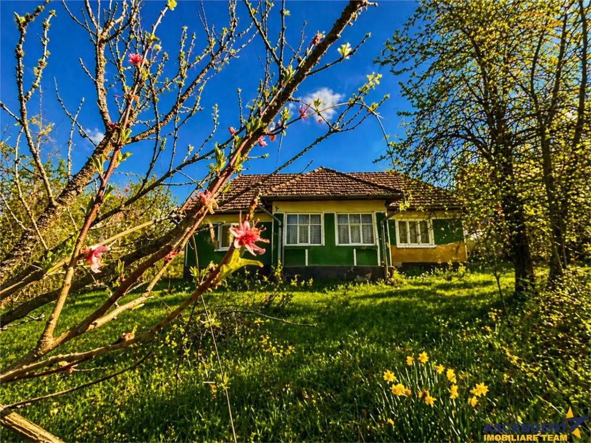 Casa traditionala,zona pitoreasca,domeniu de 3.400 mp,Suveica,Acatari,Mures - foto 1