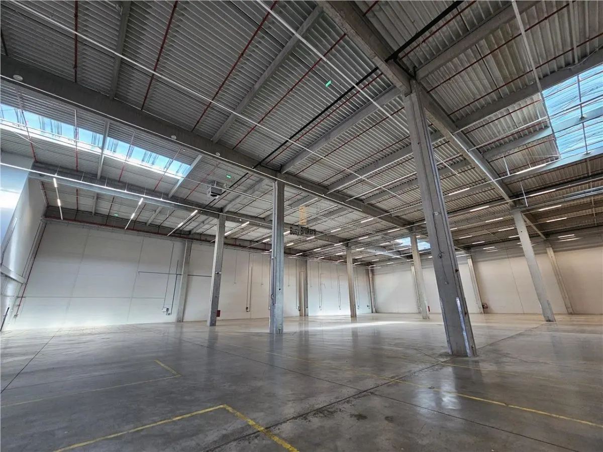 Spatiu Industrial - 3500 mp - Logistica - Productie - Depozitare - Distributie - foto 11