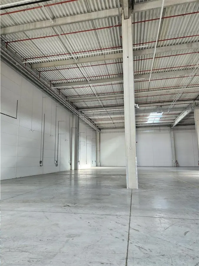 Spatiu Industrial - 4300 mp - Logistica - Productie - Depozitare - Distributie - foto 4