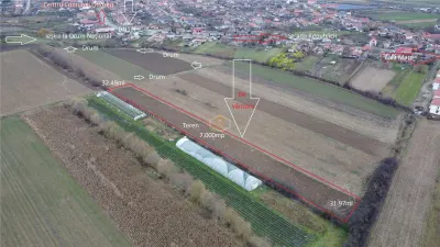 Teren Extravilan - 7.000 mp in centrul comunei Odoreu - Odoreu