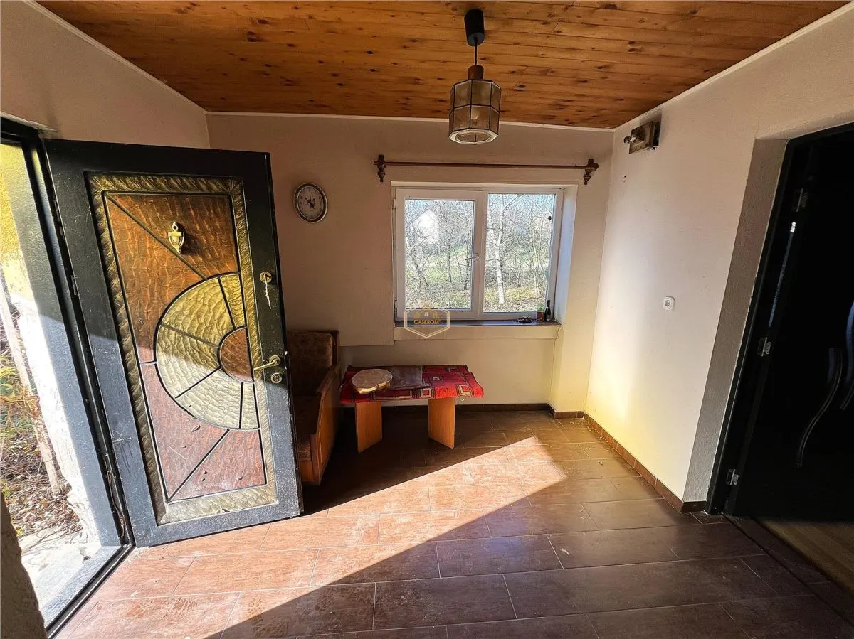 Casa cu 2 camere si teren de 4.000 mp | Viile Satu Mare - foto 11