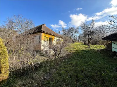 Casa cu 2 camere si teren de 4.000 mp | Viile Satu Mare - foto 4