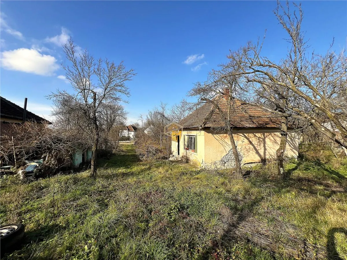 Casa cu 2 camere si teren de 4.000 mp | Viile Satu Mare - foto 5