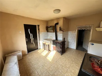 Casa cu 2 camere si teren de 4.000 mp | Viile Satu Mare - foto 8