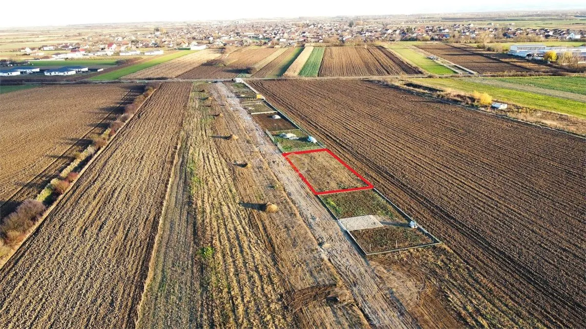 Video | Teren intravilan 743 mp la intrarea in Odoreu - foto 4