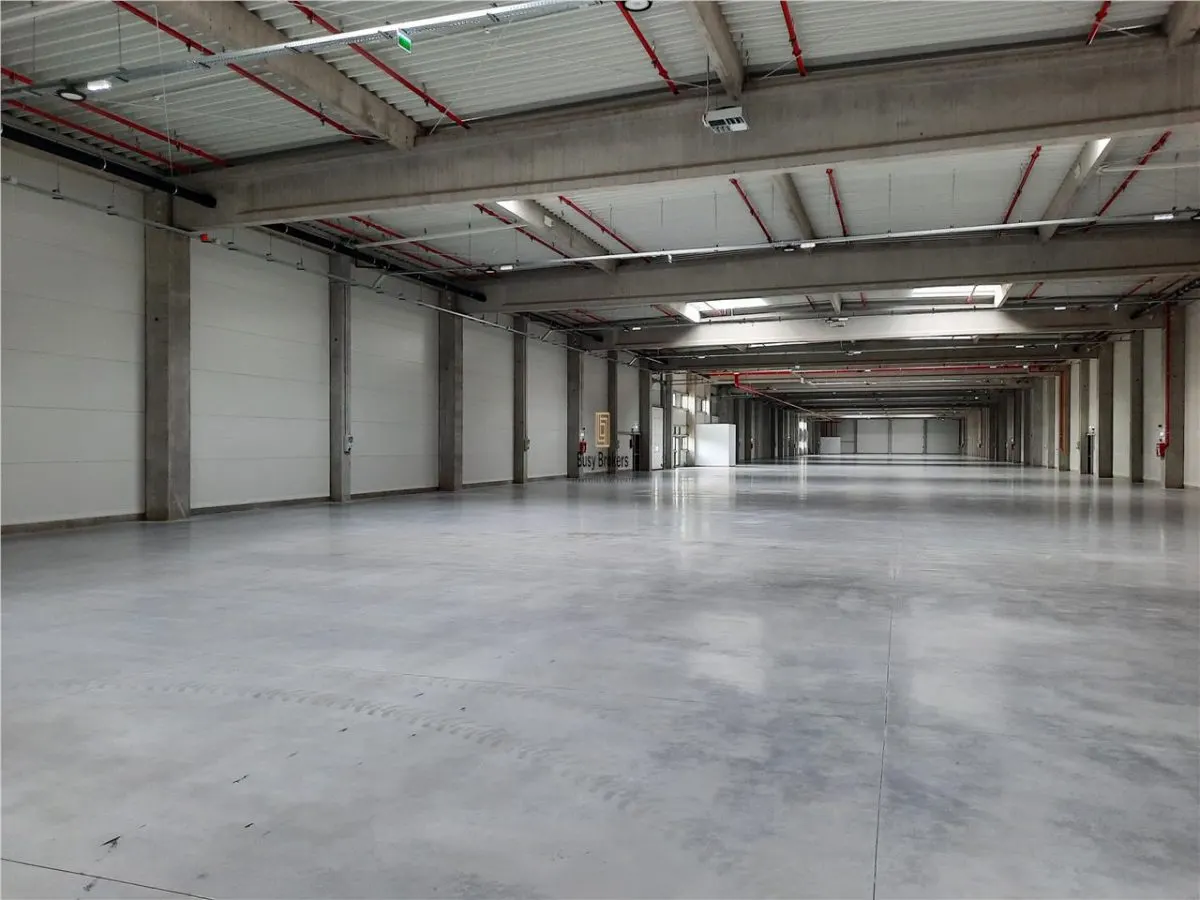 Spatiu Industrial - 4500 mp - Logistica - Productie - Depozitare - foto 7