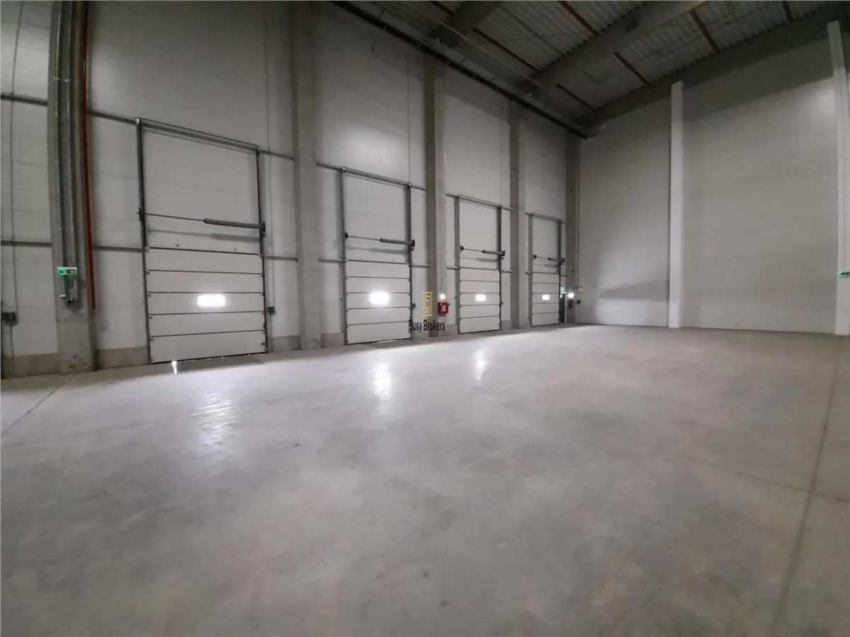 Spatiu Industrial - 4500 mp - Logistica - Productie - Depozitare - Distributie - foto 19