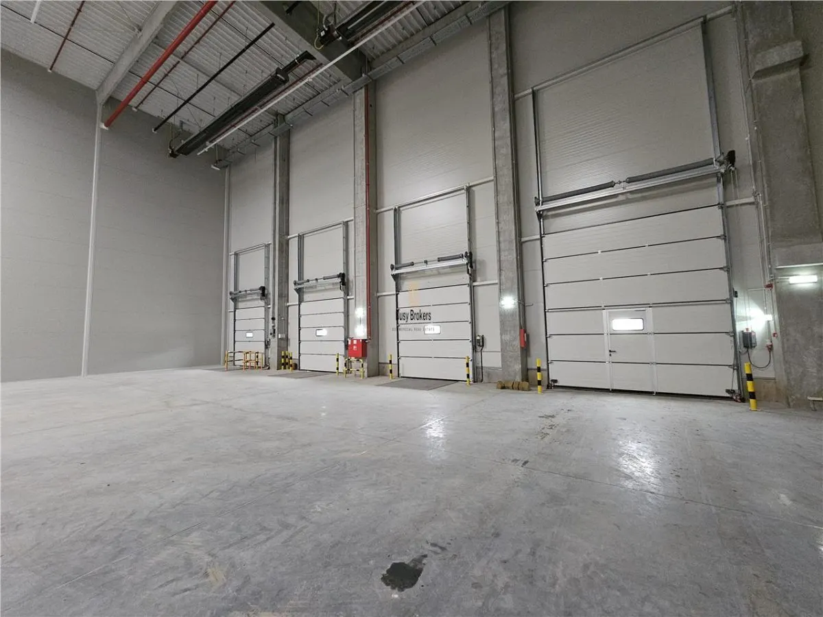 Spatiu Industrial - 4500 mp - Logistica - Productie - Depozitare - Distributie - foto 3