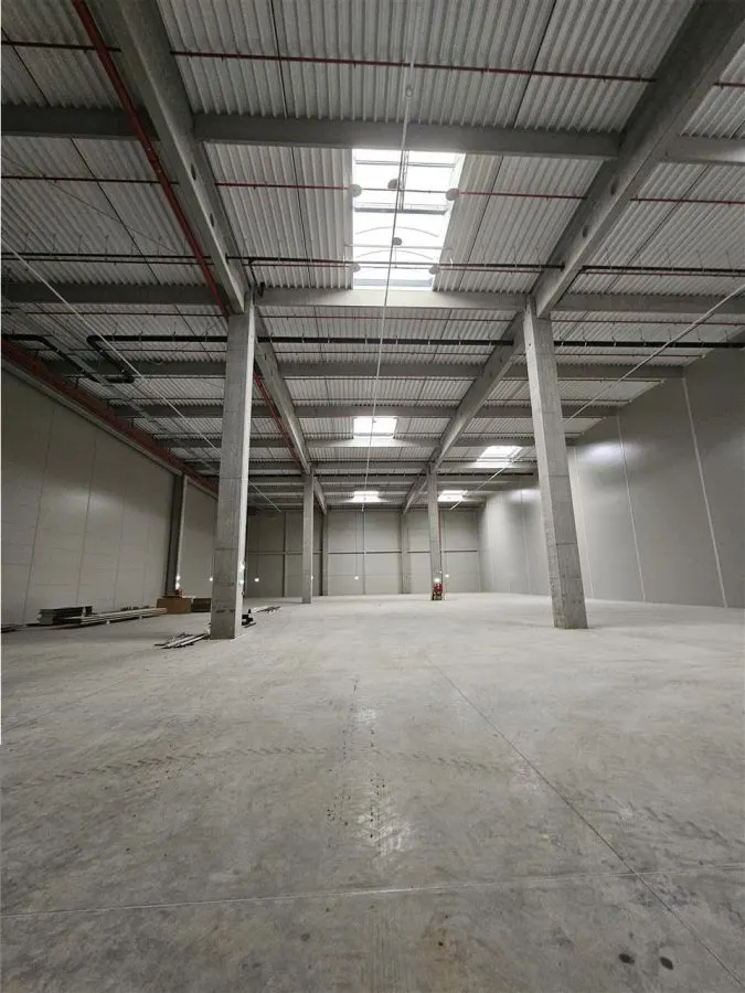 Spatiu Industrial - 4500 mp - Logistica - Productie - Depozitare - Distributie - foto 4