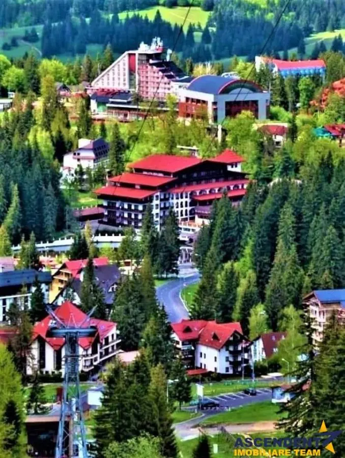 Descopera oportunitatea! Imobiliar&Transfer Business in inima statiunii Poiana Brasov, Romania - foto 19