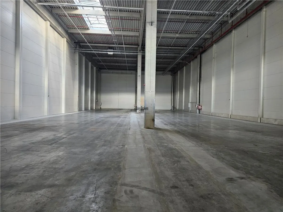 Spatiu Industrial -  2500 mp - Logistica - Productie - Depozitare - foto 9