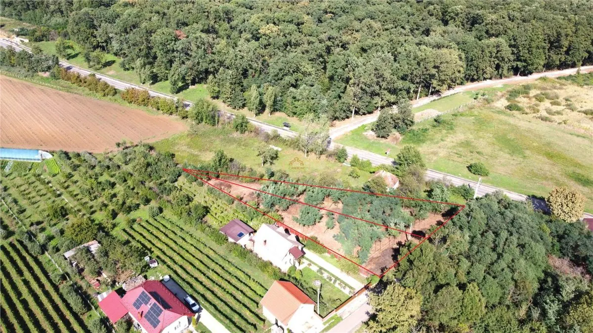 Doua terenuri – locatie deosebita, priveliste superba - foto 1