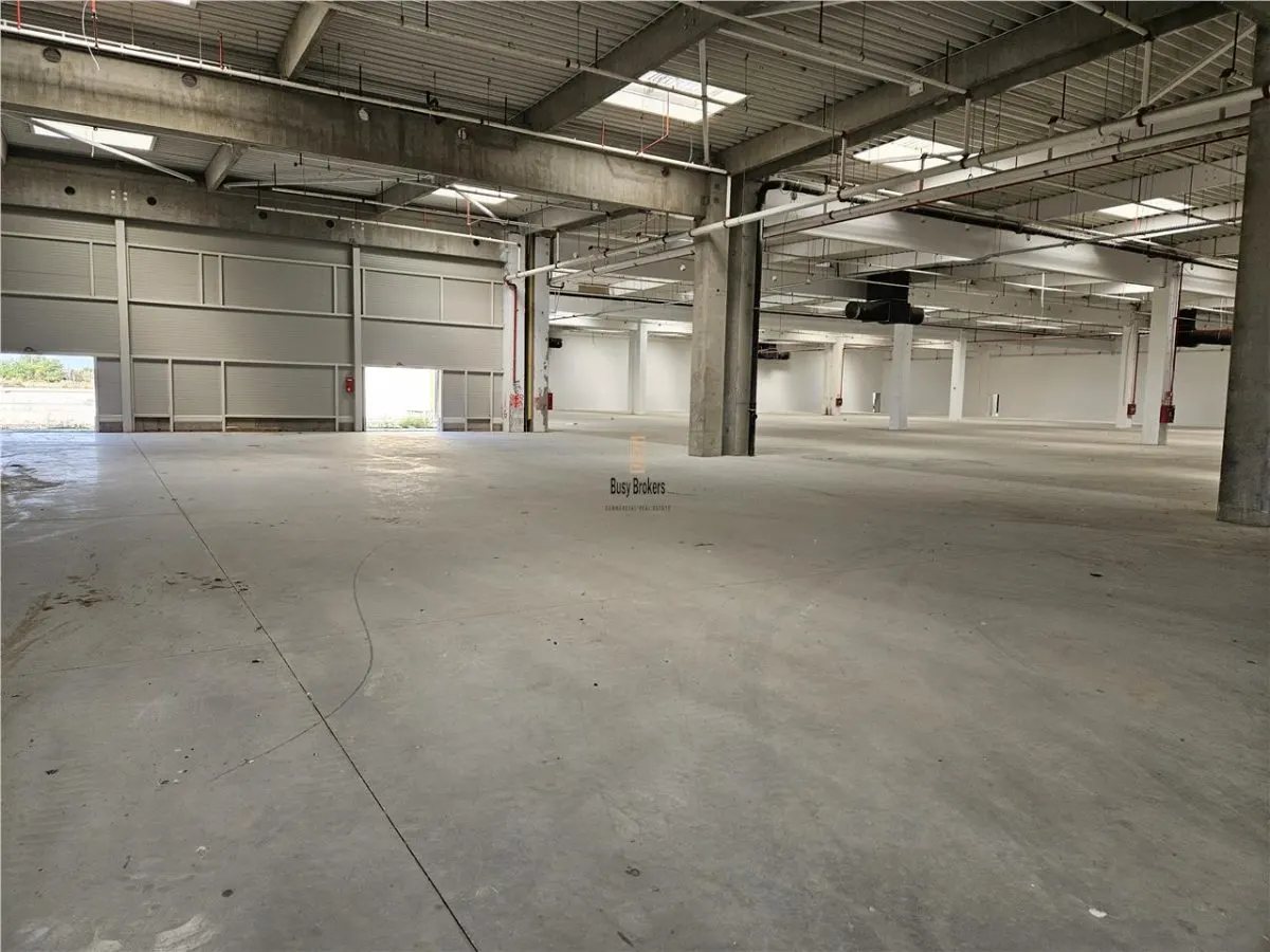 Spatii Industriale - 9000 mp - Productie - Depozitare - Distributie - foto 1