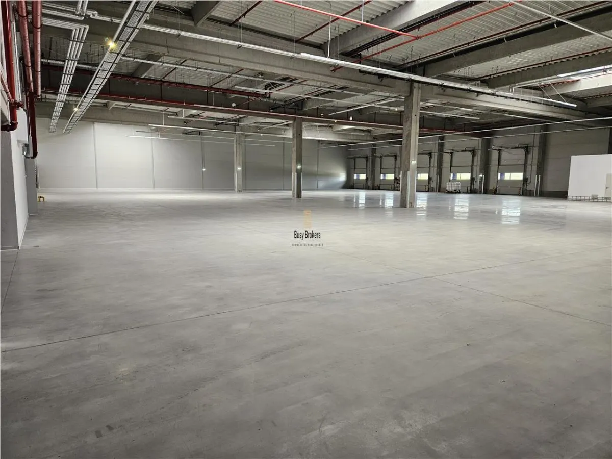Spatiu Industrial – 4200 mp – Productie – Depozitare – Logistica – Distributie - foto 1