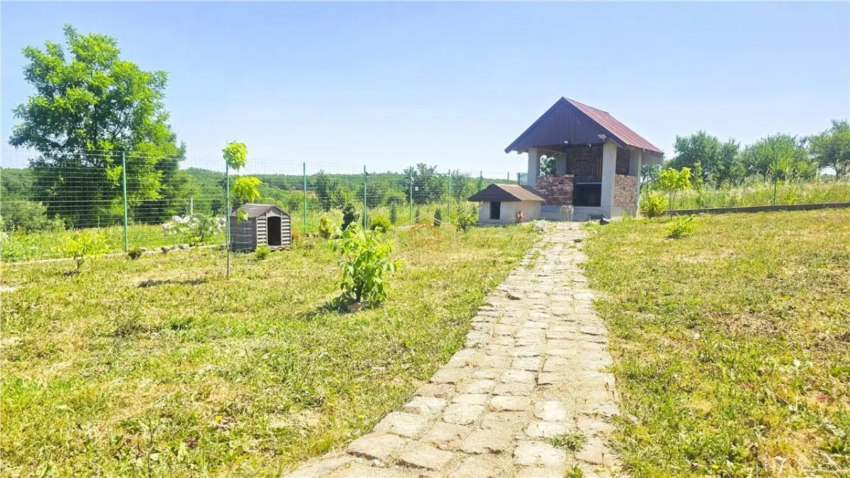 VIDEO | ?? Loc pentru casa, cabana sau cazare turistica in Ardud | Vedere de vis spre Satu Mare si padure - foto 13