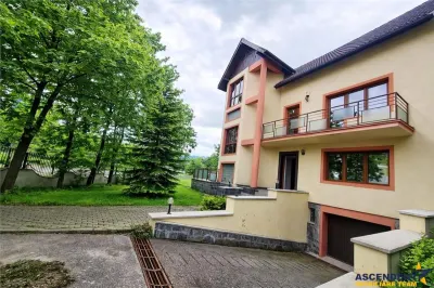 Vila impetuoasa pe 700mp teren:Spatiu versatil pentru locuinta/afacere Premium - foto 12