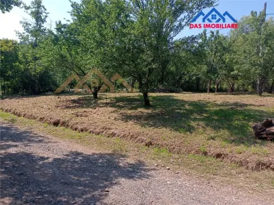 Teren intravilan,  2,5 ha, zona de deal in Seini - foto 1