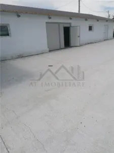 Hala 550mp Lunca Cetatuii - Dumbrava - foto 3