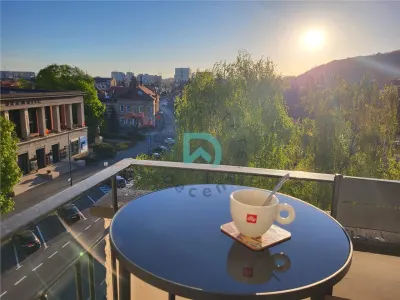 Ultracentral, ideal Airbnb-Booking, Priveliste superba , locatie unica - foto 12
