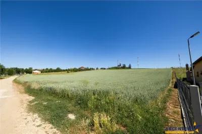 6 loturi casa Maierus,1.375mp,langa DN13, Doripesco,Brasov: 35min, zona verde:FILM! - foto 12