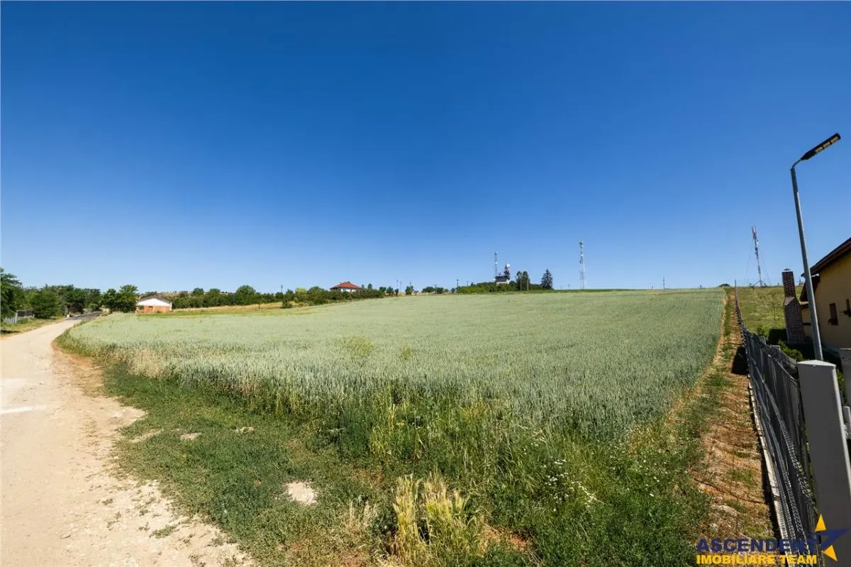 6 loturi casa Maierus,1.375mp,langa DN13, Doripesco,Brasov: 35min, zona verde:FILM! - foto 12